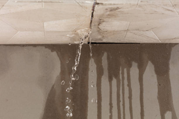 Professional Structural Drying technician working in White Deer, TX